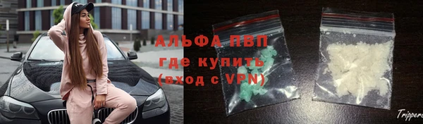 гашик Покров