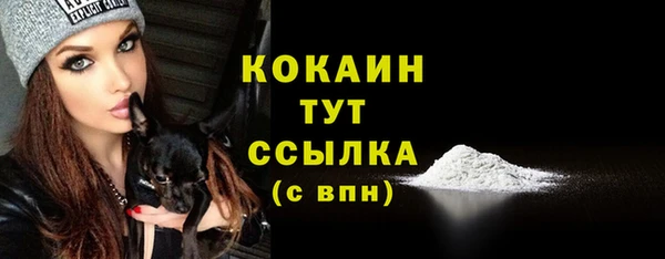 ешки Покачи
