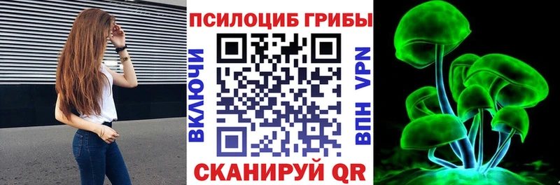 Псилоцибиновые грибы Magic Shrooms  Купить закладки  Ивангород 